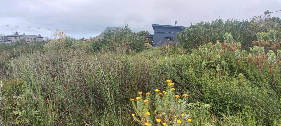 0 Bedroom Property for Sale in Pringle Bay Western Cape